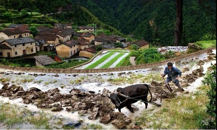 微信圖片_20200610153647.jpg 微信圖片_20200610153647.jpg