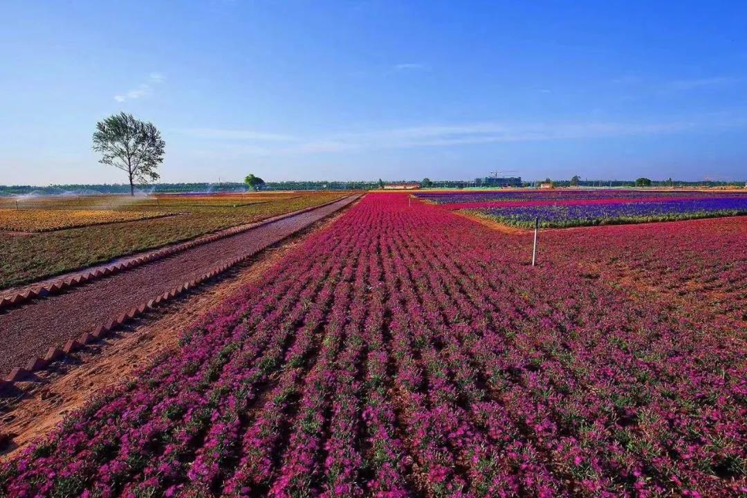 微信圖片_20210701100814.jpg 微信圖片_20210701100814.jpg